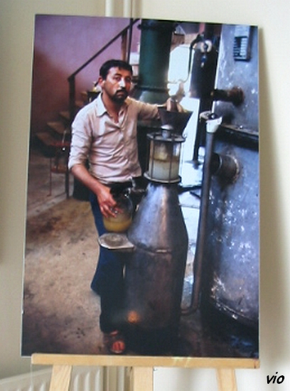Photo : A. Thévenard/Alembic pour extraire l'huile essentielle de roses