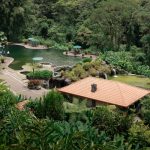 Costa Rica : quels sites touristiques privilégier pour un premier voyage réussi ? Costa Rica : quels sites touristiques privilégier pour un premier voyage réussi ?