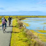 Ars-en-Ré à vélo : la liberté de découvrir le nord de l'île Ars-en-Ré à vélo : la liberté de découvrir le nord de l'île
